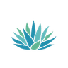 The Blue Agave Group - First Blue Agave of the Holy Land
