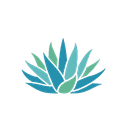The Blue Agave Group - First Blue Agave of the Holy Land